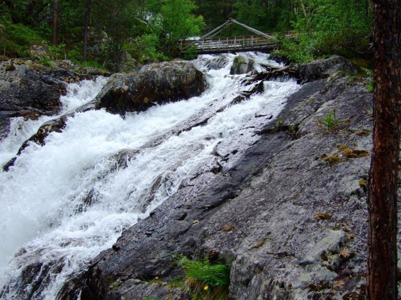 Vedlegg 1 Kvernåe naturområde i tekst og