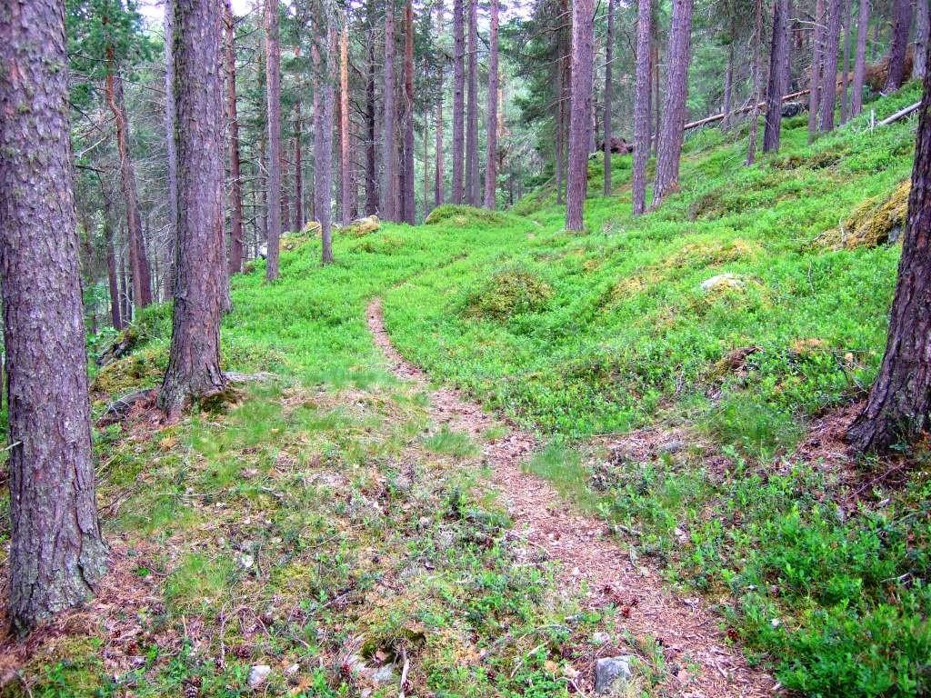 Den øvre strandlina, Øvre Floten, er noko smalare enn den nedre og oftare erodert bort enn den nedste.