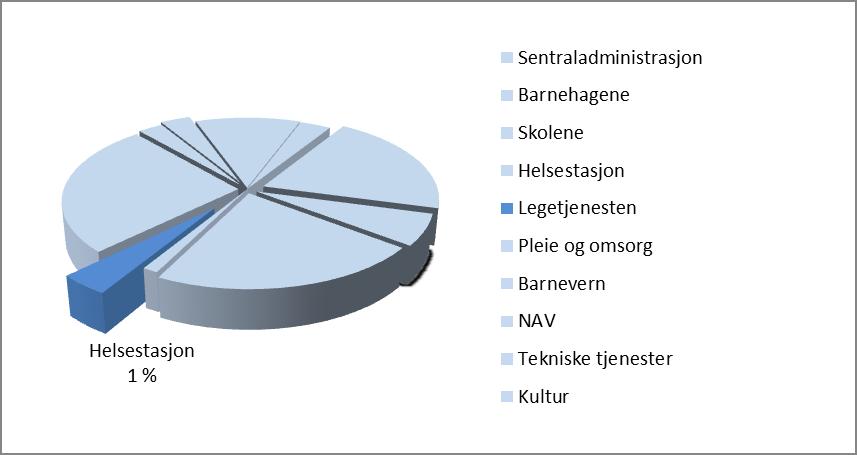 HELSESTASJON Andel av netto rammen til fordeling i 2013 KOSTRATALL BRUKERE KOSTRAINDIKATOR: Andel nyfødte med hjemmebesøk innen to uker etter hjemkomst.