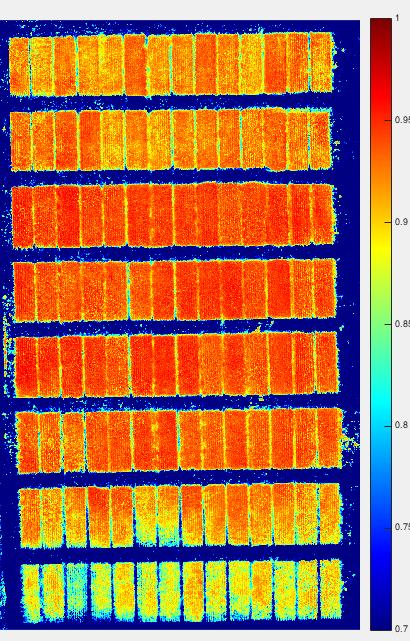 NDVI kart