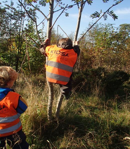 Tiltak 5. Planlegging, dokumentasjon og vurdering Årsplanenes innhold skal beskrives nærmere i barnehagens periodeplaner.