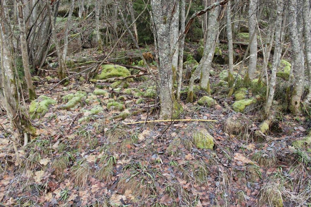 Lokaliteten består av en rydningsrøys som ligger ca 170 meter over havet ved foten av Bjørnholthøyden i øst og 12 meter fra golfbanen på Aas gård i vest.