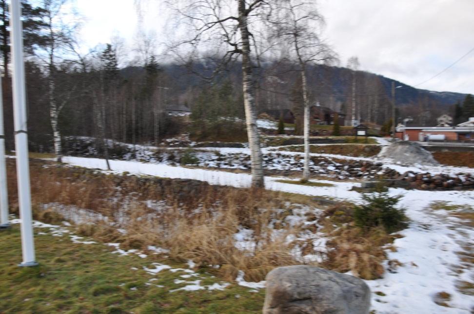 Natur/landskapstrekk Området langs Nørdsteåi På sørvestre siden av brua er