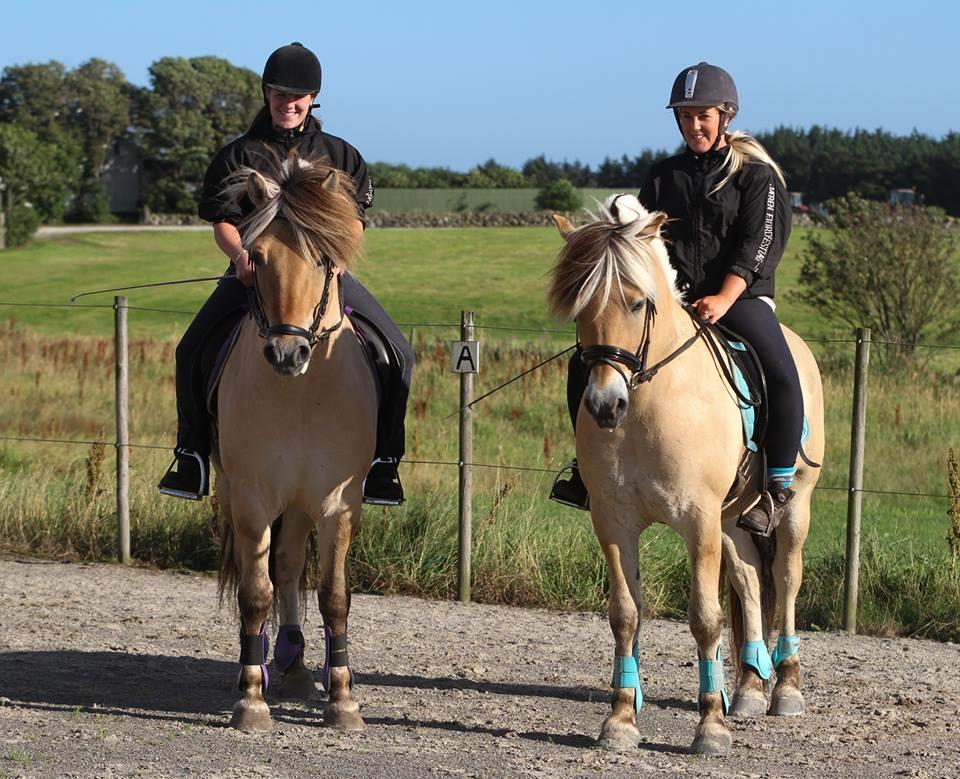 For mer info, eller ved interesse, kontakt Camilla/Lars Rosland 90 82 10 65/51 42 87 88 FJORDING I TRENING Skrevet av Mona Hatteland Foto: Ingvild Surdal Vi er en gjeng med fjordingjenter som har