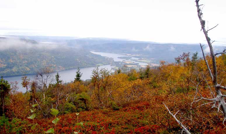 Snøløs årstid Når snøen må gi tapt mot sola i sommerhalvåret, og multemyrene lokker på folk, så fremstår Norefjell som et eldorado med sin flotte fargepalett og klare luft.