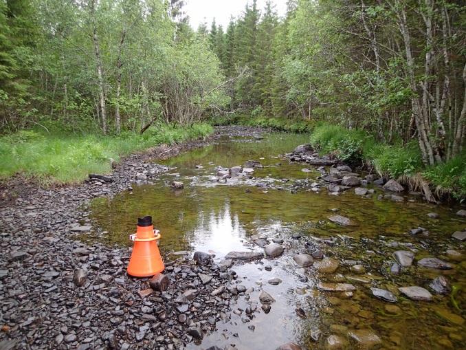 2 Ferga Ferga, som er sideelv til Årgårdselva i Namdalseid, ble undersøkt 16.06.2014.