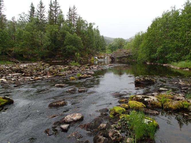 Søk etter elvemusling ble foretatt på deler av strekningen mellom Skjækerfossen og Oksfossen, og på mesteparten av en strekning på om lag 1,7 km i nærheten av Vollaseteren.