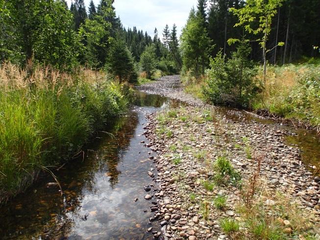 Totalt ble syv områder på strekningen mellom Fuglmyra og