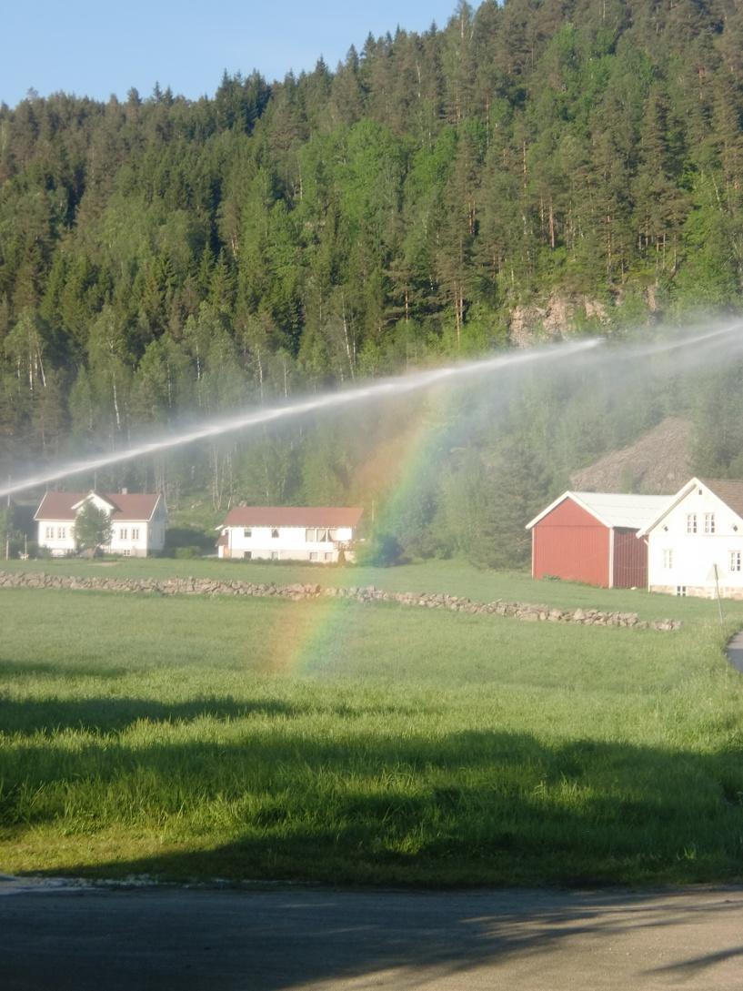 Krevende men mulig!! Norge har rein jord, rikelig med reint vann, lite smitte og skadegjørere.