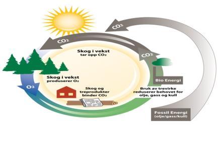 Innhold 1) Livssykluskostnader 2) Hevet nasjonal terskelverdi 3) Åpen/begrenset anbudskonkurranse: