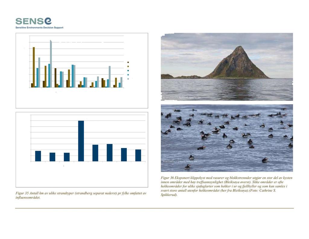 Figur 35 Antall km av ulike strandtyper (strandberg separat nederst) pr fylke omfattet av influensområdet.