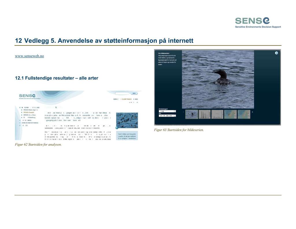 12 Vedlegg 5. Anvendelse av støtteinformasjon på internett Det er for denne analysen lagt ut fullstendige resultater fra miljørisikoanalysen på www.senseweb.