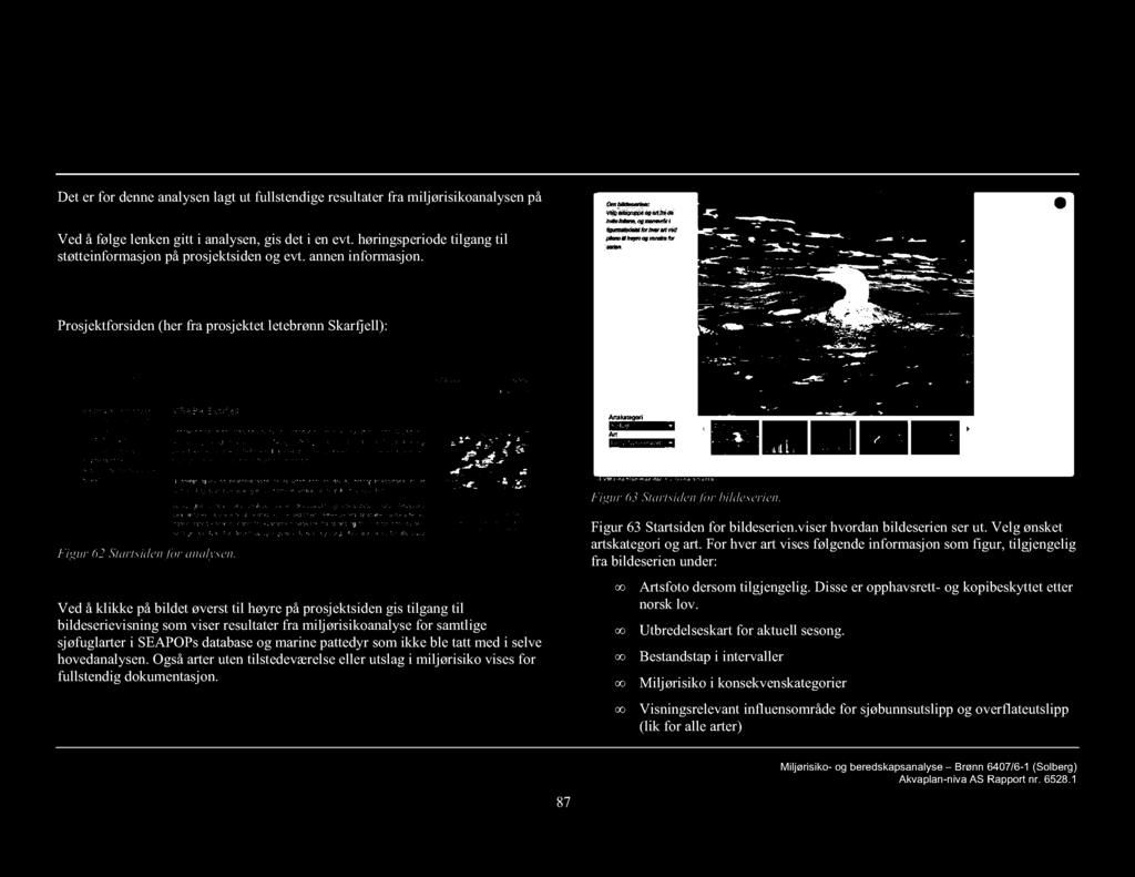 1 Fullstendige resultater alle arter Prosjektforsiden (her fra prosjektet letebrønn Skarfjell): Figur 63 Startsiden for bildeserien. Figur 62 Startsiden for analysen.
