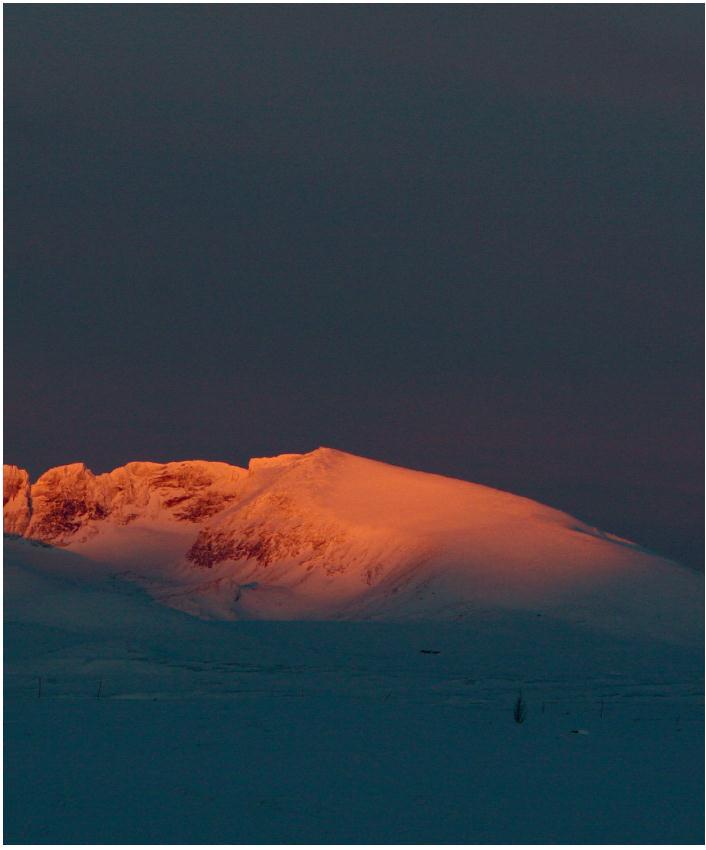 Det hele fjellet Det er et overordna mål å bevare villreinens leveområder og å bedre reinens vandringsmuligheter mellom de ulike fjell- og funksjonsområdene Samtidig er det må å sikre verdiskaping og