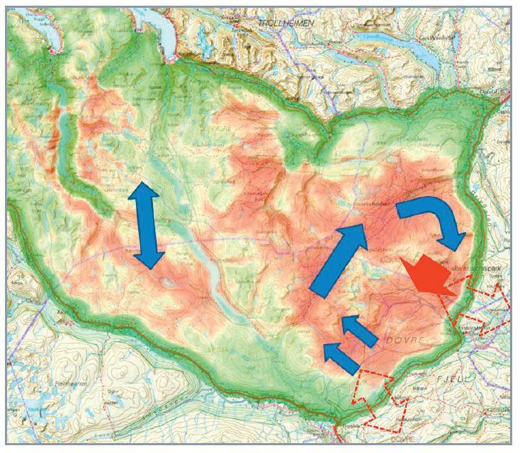 Resultater villrein Fordelingen av sesongbeiter varierer lokal, mye av vinterbeitene (og høstbeitene) finnes på østsiden av Snøhettamassivet Kalvingsområdene ligger lenger vest Sommeroppholdsområdene