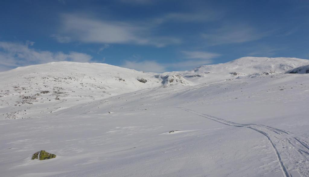 Forslag til forvaltningsplan for Skardsfjella og Hyllingsdalen landskapsvernområde med