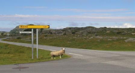 brukt i tildelinga av adressenummer og brukseiningsnummer Namninga av adresseparsellane og