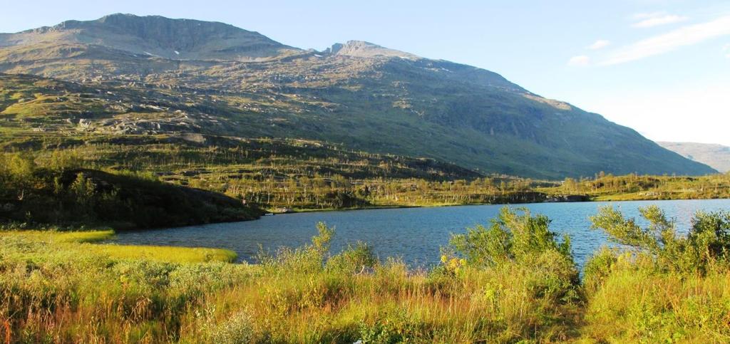 høye kalkinnholdet kan forklares ved at nedslagsfeltet er stort og delvis strekker seg inn i kalkområder. Bukkemyrvatnet har så høyt kalkinnhold at det blir en kalksjø (E07).