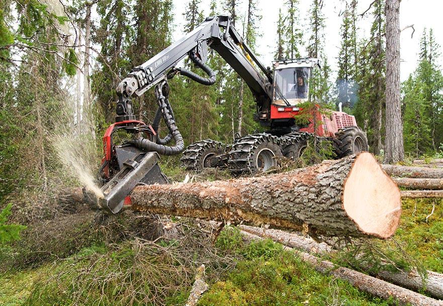 Hos Norra Timber arbeider vi målrettet med produktutvikling og økende foredlingsgrad. Dette for å kunne tilby kundebaserte løsninger og produkter.