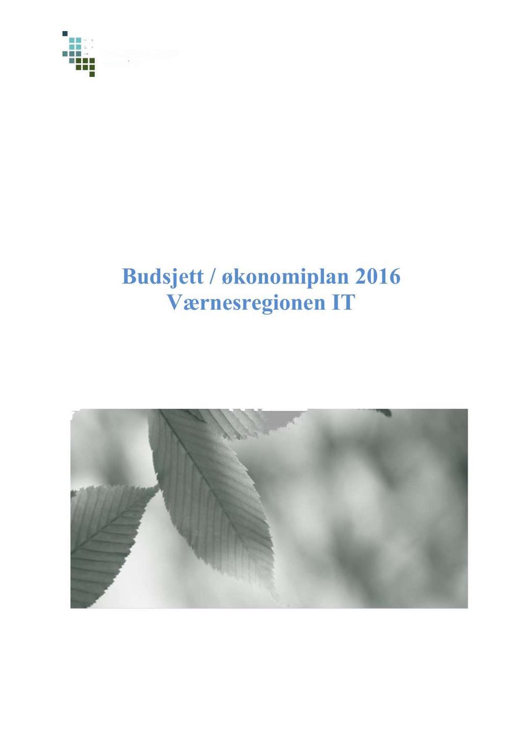 Værnesregi onen IT budjett/økonomiplan 2016