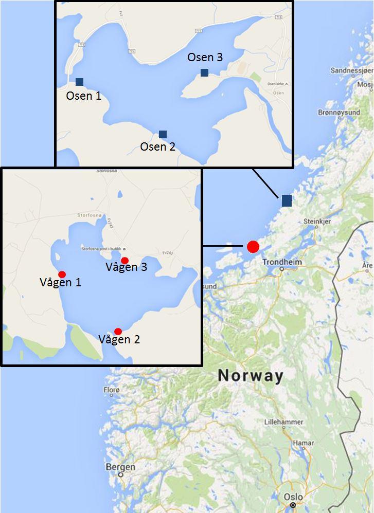 4 Hardbunn 4.1 Metodikk Det ble foretatt fjæresoneregistreringer på tre stasjoner i Osen og tre stasjoner i Vågen. Alle registreringene ble gjennomført 16. juli 2015.