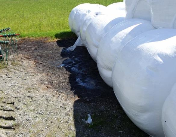 På nokre stader er det registrert at rundballar vert lagra nærmare enn 10 meter frå vassdrag, eller at det er fare for lekkasje frå rundballar til vassdrag.