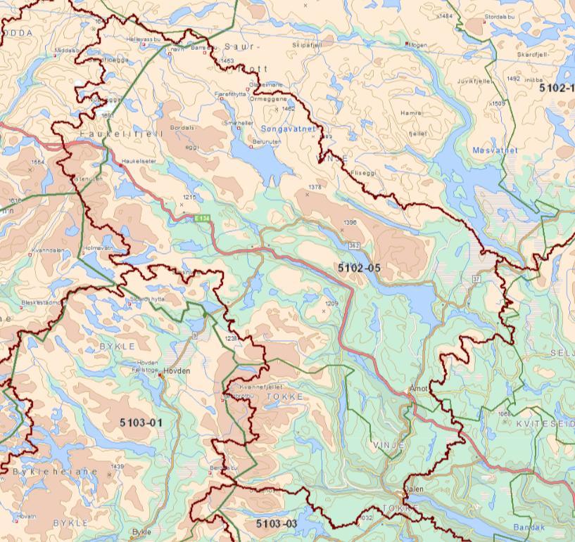 3 Vassområdet 3.1 Areal og utstrekning Tokke-Vinje vassområde var med i fyrste planfase og er med i forvaltningsplanen for Vest- Viken vassregion 2010 2015.