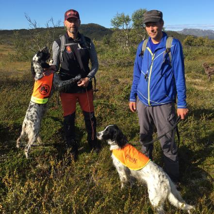 6 slipp: ES Sandy ES Panigale Sandy fører slippet fra start og jakter prima i god kontakt. Revierer godt. Sandy er forutsigbar.