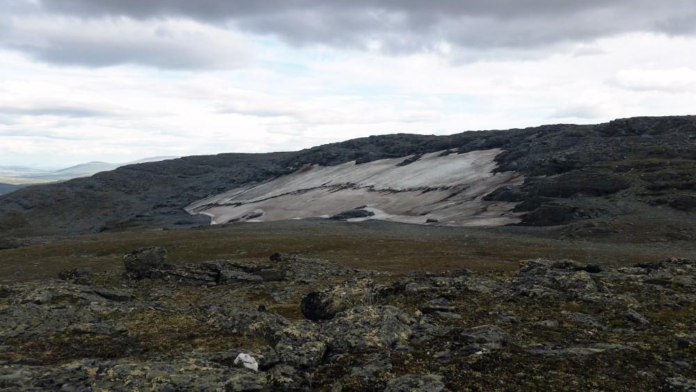 7 2.1.2 Kringsollfonna Figur 3: Kringsollfonna mot sørvest. Juli 2014. Foto: Geir Vatne Kringsollfonna (Figur 3) ligger på ca. 62,51356 N 9,74247 Ø (Euref89 UTM 32) som er ca.