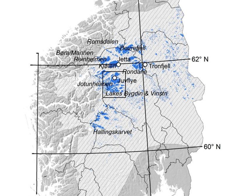 8 under 1490 meter der hvor lokale forhold ligger til rette for det. Det kan forekomme permafrost helt nede på 1000 moh. i forbindelse med palser (Sollid & Sørbel, 1998).