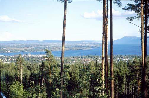 Mål for prosjektet Utarbeide felles mål og strategier for forvaltning av Mjøsas strandsone.