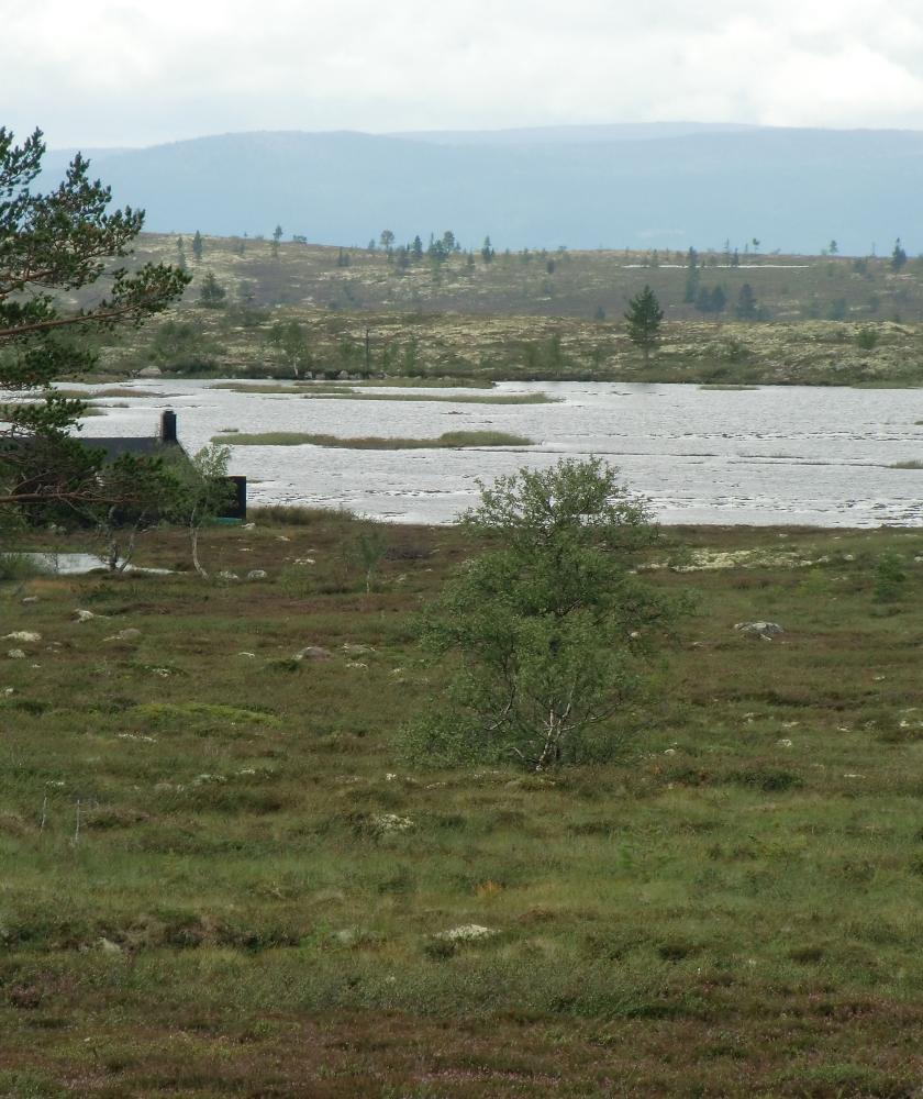 Trysil Knut`s fjellverden nord 154 D 1 Prisantydning: kr. 980.000,Omkostninger: kr. 28.155,Til sammen: kr. 1.008.