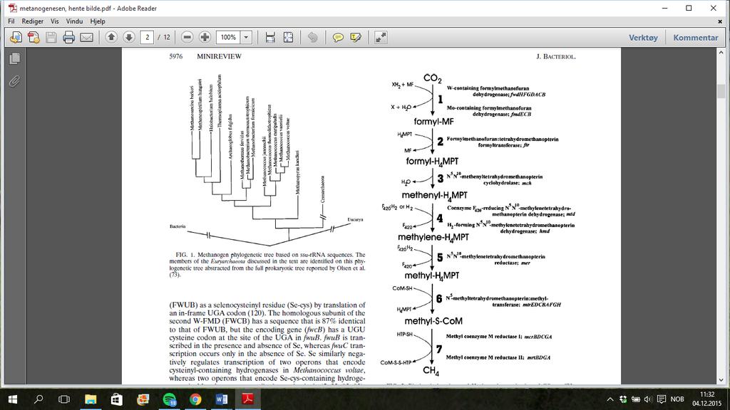 Figur 5. Biokjemiske reaksjonene som foregår ved metandannelse fra CO 2 (Reeve et al. 1997).