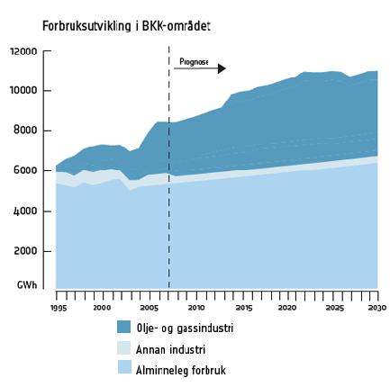 De økonomiske rammebetingelsene for nettvirksomheten ble for 2007 en del strammere enn ventet.