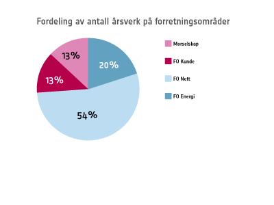 konsernet 1048 medarbeidere, inkludert 25 lærlinger. Fellesfunksjoner er i stor grad samlet i morselskapet. 2007 2006 Årsverk eks.