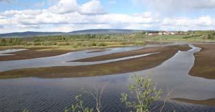 Naturmiljø Stange Følgende er registrert: a) Kolomokrysset Uthus; Vilttrekk / elg b) Ryehagen; Forekomst av rødlistearten Solblom i vegskråning c) Norvimarka; isolert skogholdt, trekk av rådyr