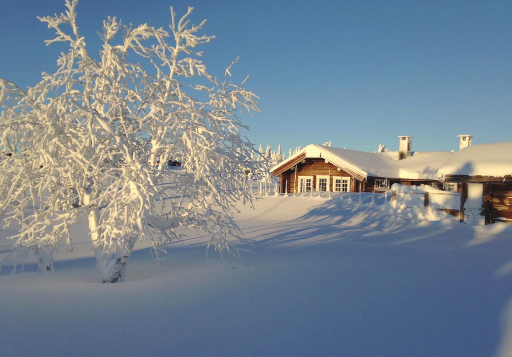 Elgåsen, Aksjøen og Kuåsen VEL forening Balanse pr. 31.12.