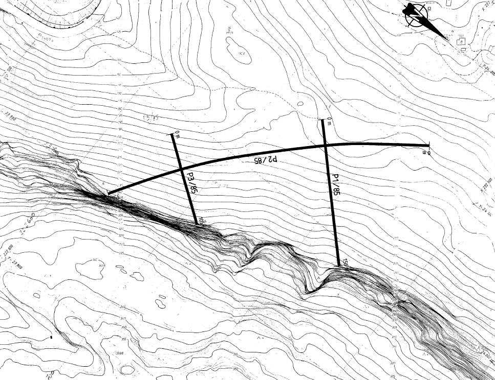 11 av 81 Figur 1: Viser utførte seismikklinjer for undersøkelser ved Nestunnelen. Omtrentlig linje for nytt nordgående løp for Homledaltunnelen er vist med rødt.