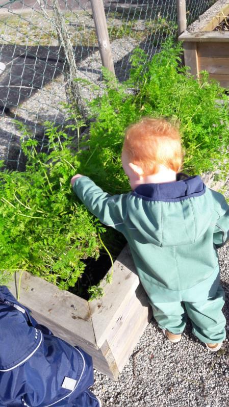 Kap 18 Mål: Natur, miljø og teknologi Metodar: Gi barna gode naturopplevingar. Gi barna gode haldningar og ei gryande forståing for samspelet mellom natur og menneske.