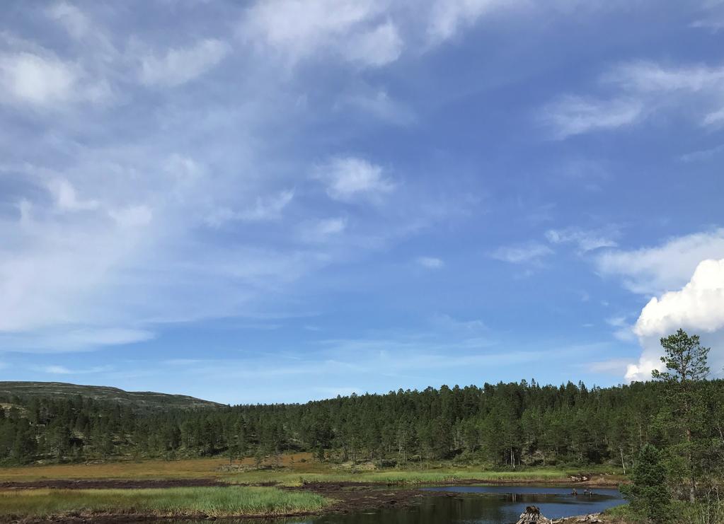 Advokatfirmaet Nidaros DA Advokatfirmaet Nidaros DA består av erfarne advokater og jurister med spesialkompetanse på skadeerstatning og eiendom. Vi har kontor i Trondheim og på Orkanger.