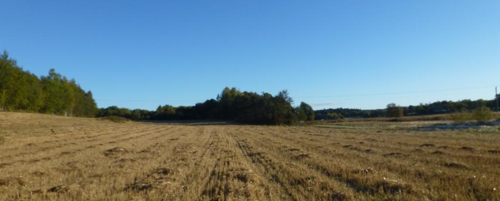 Tjøllingprøven VK finale 28/9-2013.