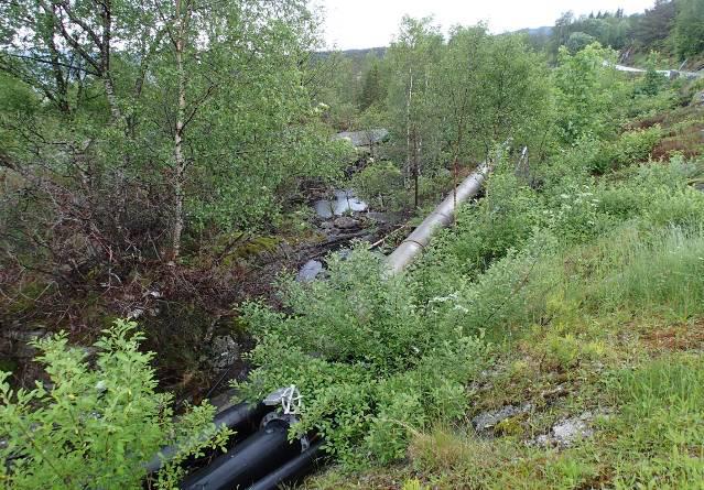 via elveutløpet (midten til venstre og høyre) og videre under veien før de ledes på