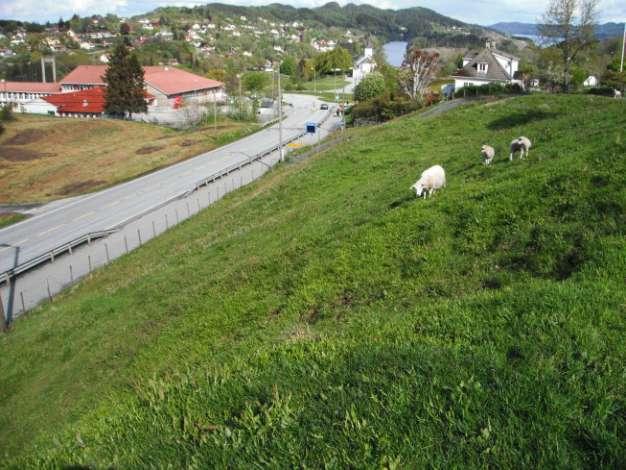 12 Verdi C dersom skjøtselen endres. Arealet er sterkt påvirket av tilførsel av næringsstoffer, og er altfor svakt beitet. Til sammen har dette ført til at slåttemarksartene så å si er borte.