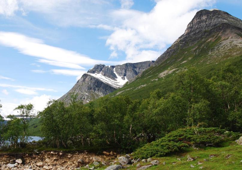 Gamle innretninger Ved opprettelse av nye verneområder vil utgangspunktet være at tidligere eiere (Statskog, fjellstyrer, kraftselskap) fortsatt vil være eiere og ansvarlige for vedlikehold av bruer,