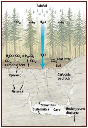 3 Teori 3.1 Karst og karstprosesser Karst er et typisk landskap hvor kjemisk og fysisk korrosjon er de dominerende prosessene. (Lauritzen, 2007).