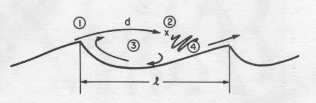 Kapittel 4 Metode lengdeaksen og strømningshastighet er negativ (Curl, 1966). Det betyr eksempelvis at en lang lengdeakse (l) viser til en lavere hastighet og omvendt.