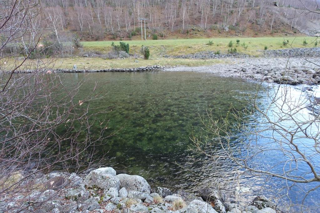 VEDLEGG Beskrivelse av vandringsrute ved visuell telling av anadrom fisk fra elvebredden om høsten i Lærdalsvassdraget og kartfesting av høler utdrag fra Sættem, L.M. 1998.