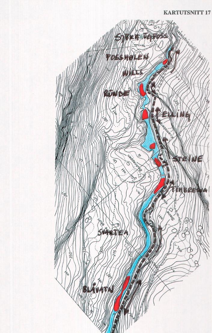 Kartutsnitt 17 Fosshølen like nedstrøms