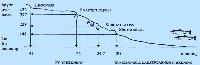 Strekningen for gytefisktelling Figur 1.