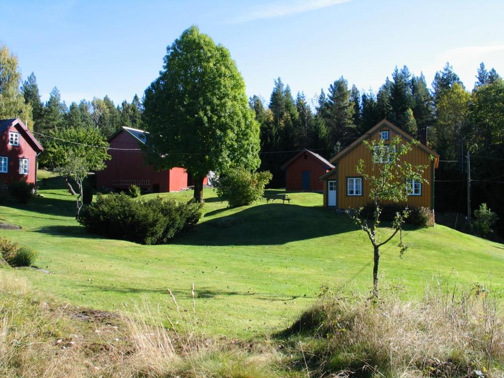 Tunet ligger i Ytre Gjerstad ved Sundebru nær områder for planlagt boligutbygging, men